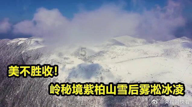 天鸽互动盘中异动 股价大跌7.08%