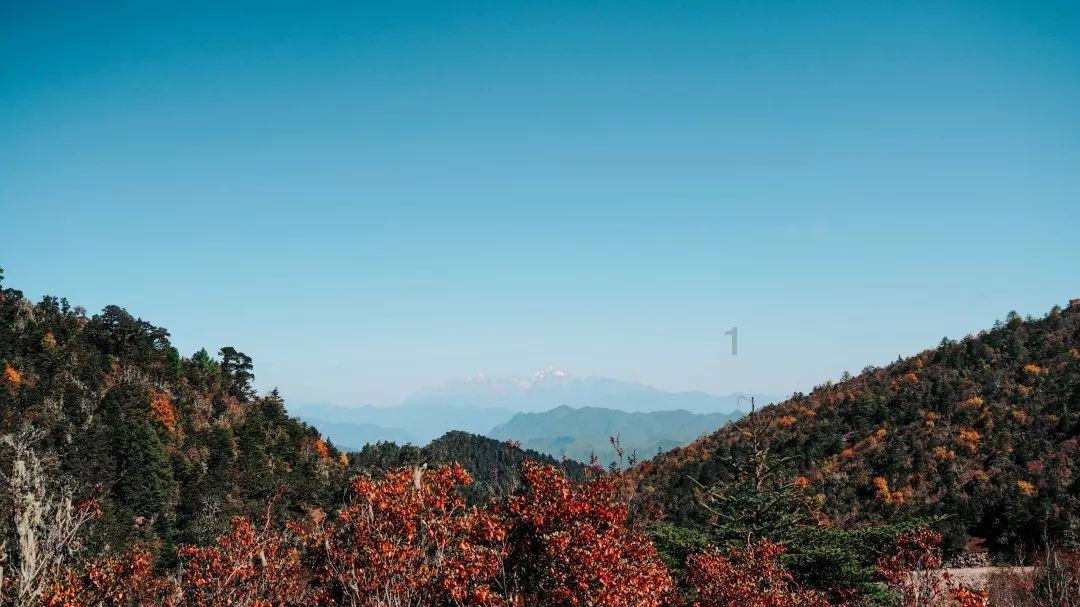 逃离拇指山地